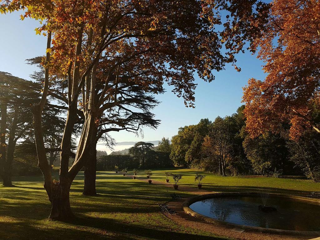 Domaine De Fontenille Lauris Exteriér fotografie
